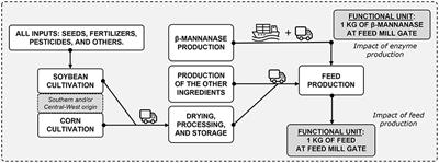 β-Mannanase Supplementation as an Eco-Friendly Feed Strategy to Reduce the Environmental Impacts of Pig and Poultry Feeding Programs